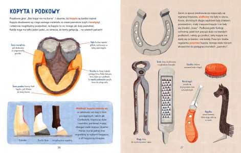W galopie elibri srodki 1